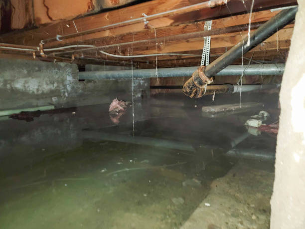 Best Water damage restoration experts  in Heppner, OR