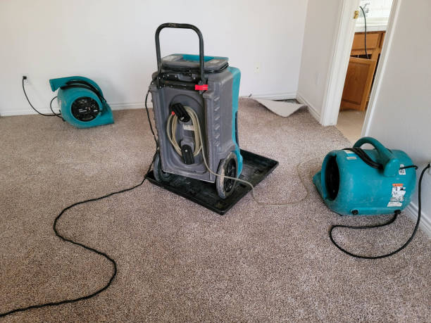 Best Water damage contractors near me  in Heppner, OR