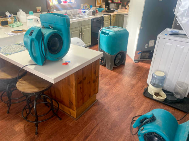 Best 24/7 water damage repair  in Heppner, OR