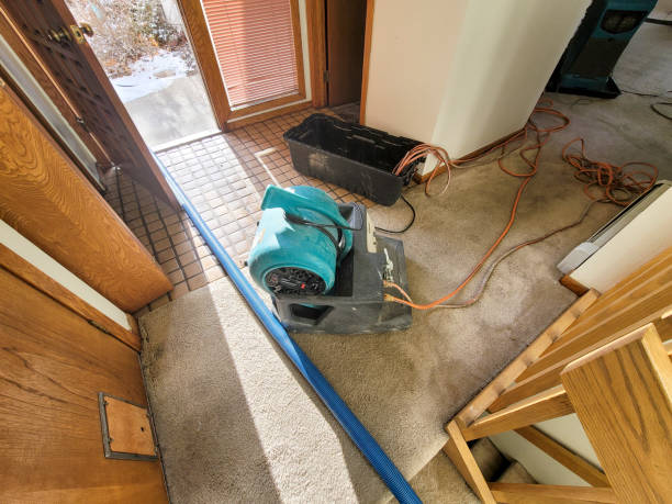 Best Mold removal after water damage  in Heppner, OR